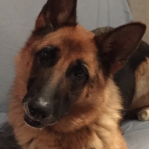 Fundraising Page: Nancy Beattie